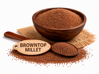 Browntop millet seeds in wooden bowl with spoon, placed on jute mat for natural product display.